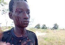 Troops Rescue Injured Farmer, Seize 27 Cattle After Violent Herders’ Attacks in Plateau