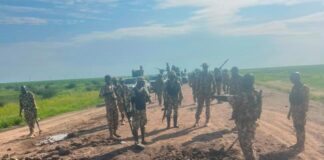 Troops Detonate Two IEDs Along Maiduguri-Dikwa, Marte Routes
