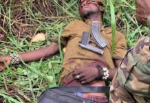 Operation Whirl Stroke troops neutralise suspected bandit, recover weapons in Benue