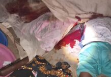 Six commuters killed in Plateau attack hours after Fulani herders, cattle were massacred in Mangu