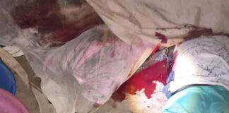 Six commuters killed in Plateau attack hours after Fulani herders, cattle were massacred in Mangu