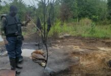 Nigerian Navy Recovers 80,000 Litres of Crude Oil, Arrests Three in Delta Anti-Drug Operation