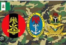 The Armed Forces and Nigeria at 66: What Does History Say? By Chidi Omeje