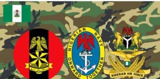 The Armed Forces and Nigeria at 66: What Does History Say? By Chidi Omeje