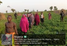 Troops Rescue 27 Kidnap Victims, Including Six-Month-Old Baby, in Katsina