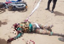 Troops Kill Two Terrorists, Recover Four AK-47 Rifles in Sokoto