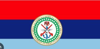 The Armed Forces and Nigeria at 66: What Does History Say? By Chidi Omeje